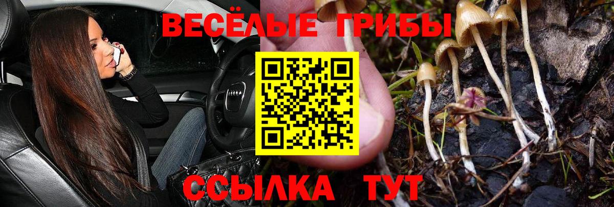 Галлюциногенные грибы Psilocybine cubensis  Вход с VPN  Псилоцибиновые грибы Psilocybe  Хабаровск 